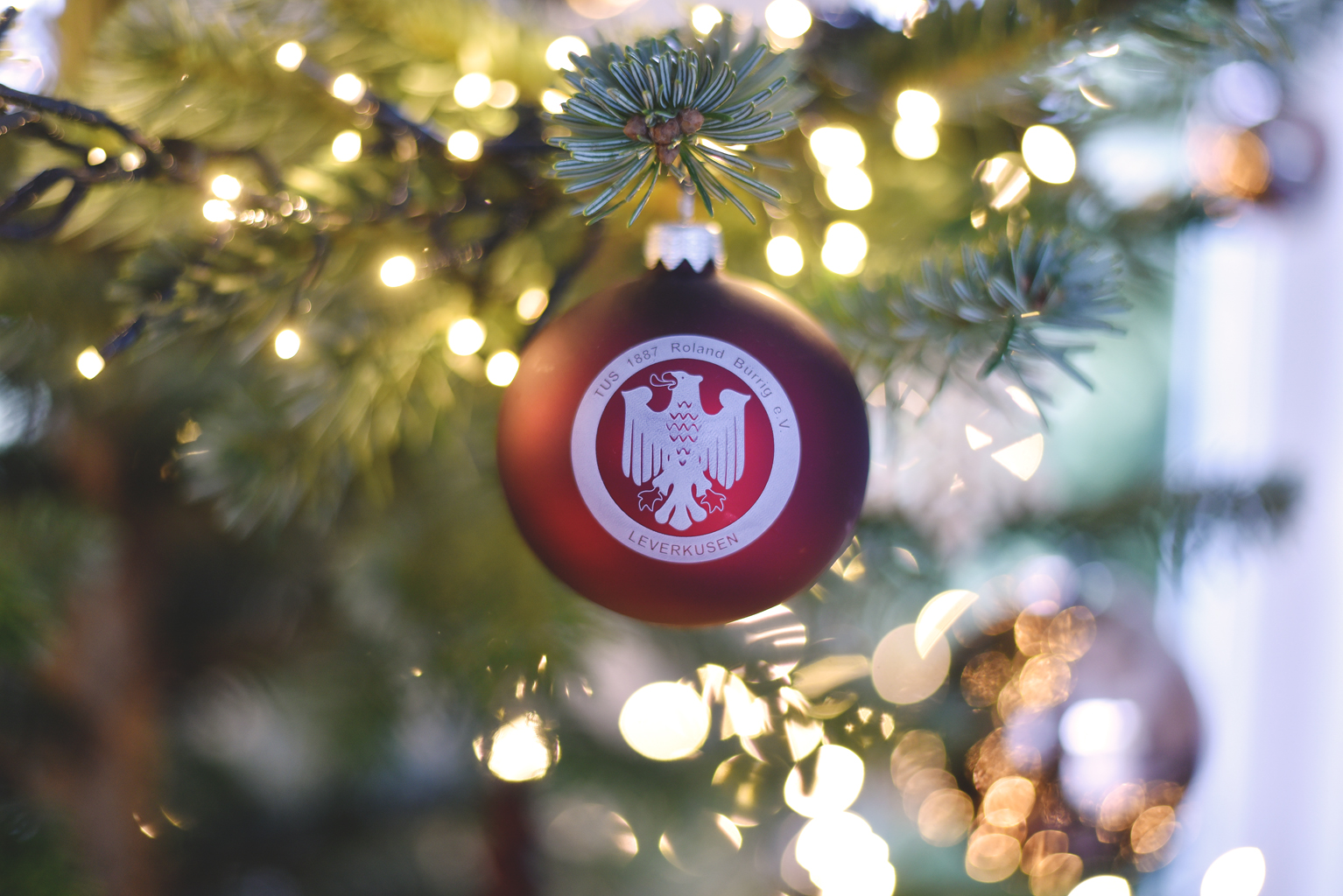 Roland Bürrig Weihnachtskugel am Baum