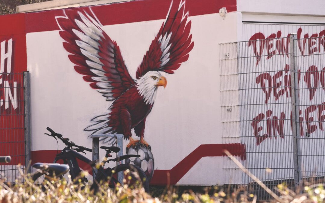 Neue Graffitis werten unsere Anlage sichtbar auf